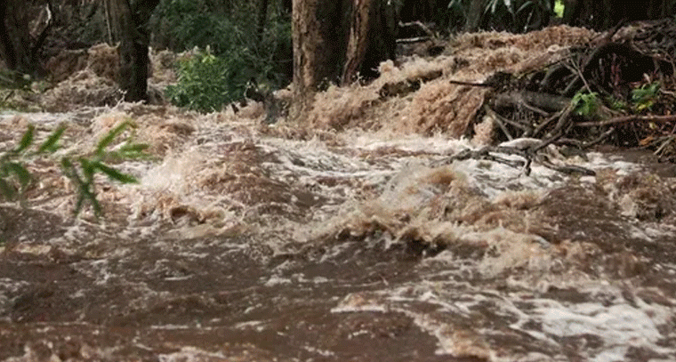 ఈ జిల్లాలకు ఫ్లాష్ ఫ్లడ్ అలర్ట్