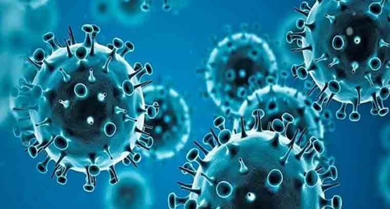 చైనాలో కలకలం సృష్టిస్తున్న  ‘నోరా వైరస్’ 
