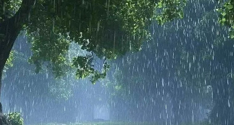 తెలంగాణలో మరో నాలుగు రోజులు వర్షాలు