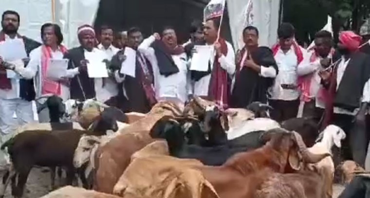 యాదవ హక్కుల కోసం గాంధీ భవన్‌లో గొర్లతో నిరసన