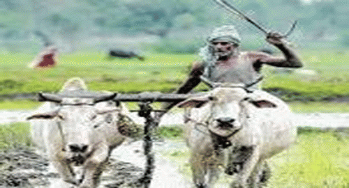 రైతులకు భారీ శుభవార్త.. సమస్యను పరిష్కరించిన మంత్రి తుమ్మల