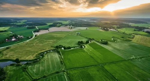 నకిలీ పత్రాలు, మార్ఫింగ్ ఫోటోలతో ,,,, భారీ భూ కుంభకోణం 