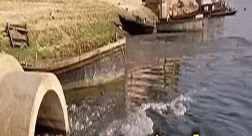 కృష్ణానది నీరు కాలుష్యం,,,, 113 గ్రామాలకు తాగునీరు బంద్