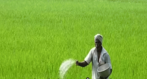 తెలంగాణ రైతులకు లోటు లేకుండా ఎరువులు.. కేంద్ర మంత్రి కీలక ప్రకటన