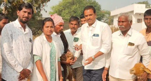 డాకూర్ గ్రామంలో గొర్రెలకు నట్టల నివారణ మందుల పంపిణీ

