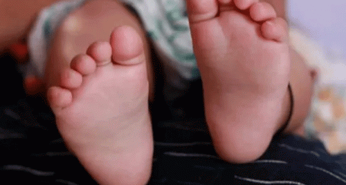 హైదరాబాద్‌లో వెలుగు చూసిన మరో సృష్టి కేసు.. 12 మంది అరెస్టు